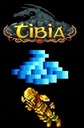 Tibia Coins 250 TC/ PACC 30 dni Premium