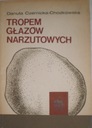 Tropem głazów narzutowych