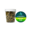 Susz Konopny CBD PremiumStaff CRITICAL PLUS 5g TOP