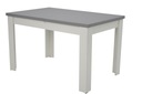 Stół kuchenny INTC4 prostokątny biały, szary 120 x 80 x 75 cm