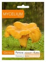 Grzybnia Mycelium Pieprznik jadalny 10 g