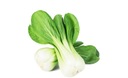 Kapusta chińska pak choi rozsada 5szt Brassica chinensis