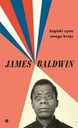 Zapiski syna tego kraju James Baldwin