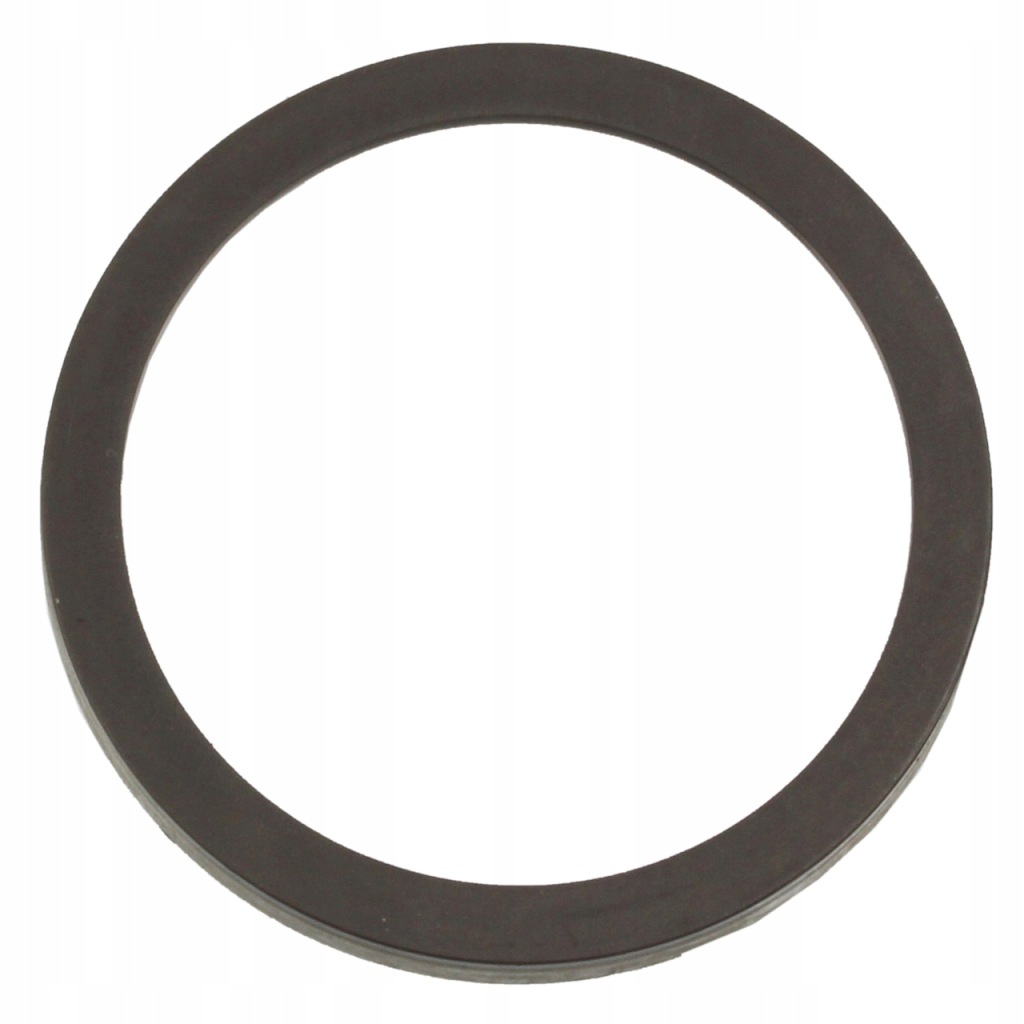 Inel magnetic ABS spate RENAULT MEGANE II