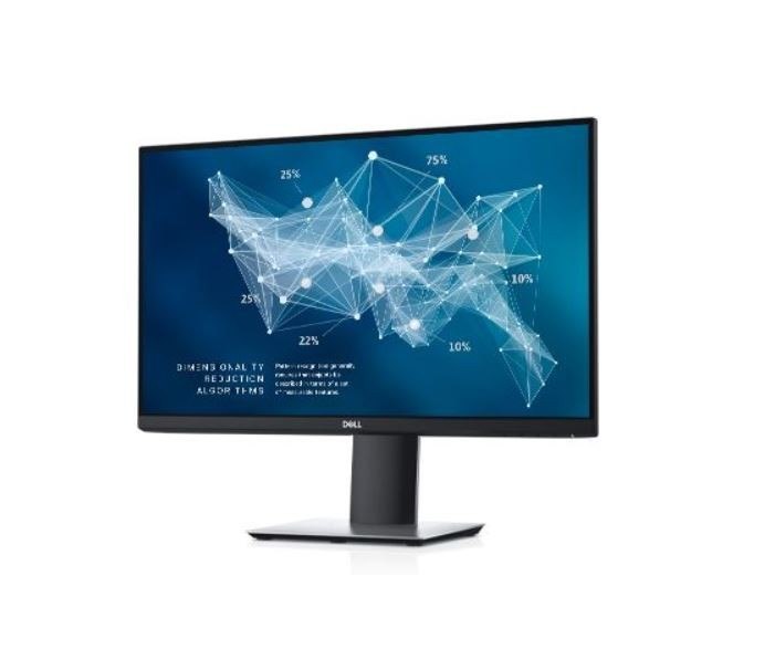 Monitor P2421D 23.8'' IPS LED QHD (2560x1440) /16: