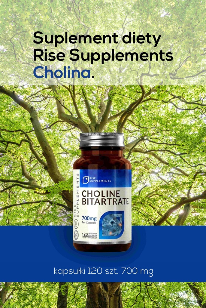 Купить Холина битартрат 120 капсул по 700 мг - Rise: отзывы, фото и ...