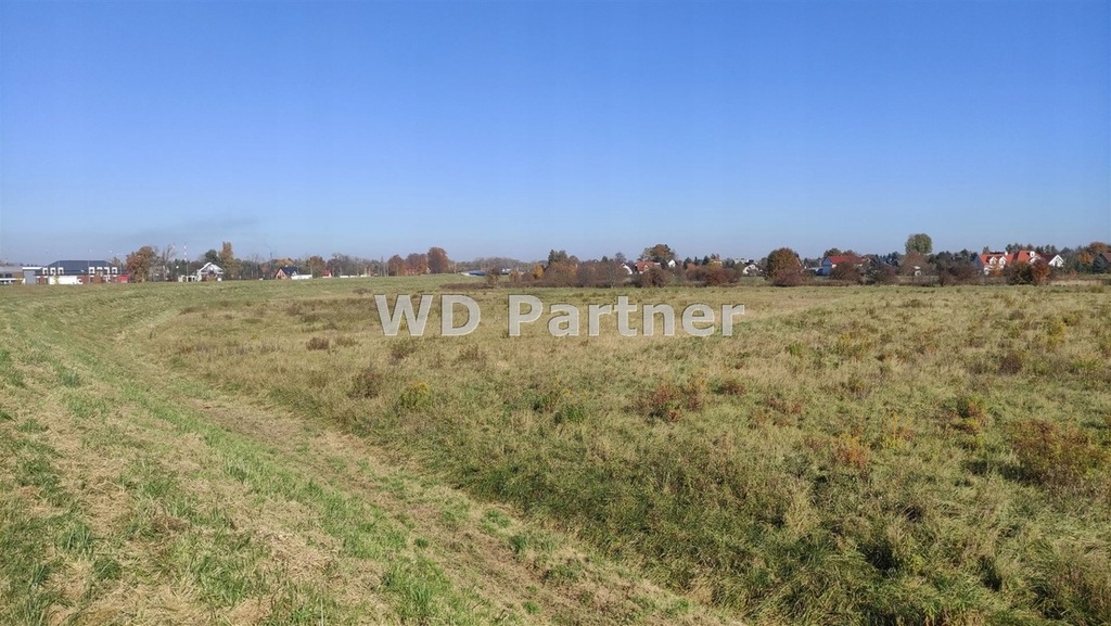 Działka, Brzegi, Wieliczka (gm.), 3000 m²