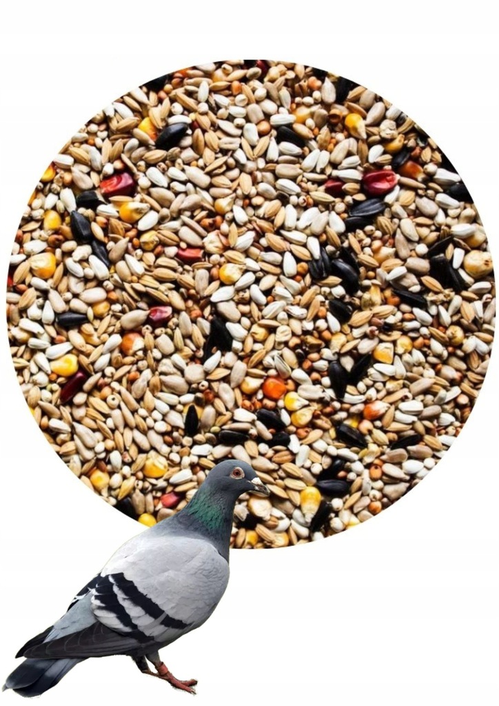Agro King Karma dla gołębi EN Energetyczna 20kg