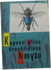 Kapesni atlas dvoukridleho hmyzu - V Javorek