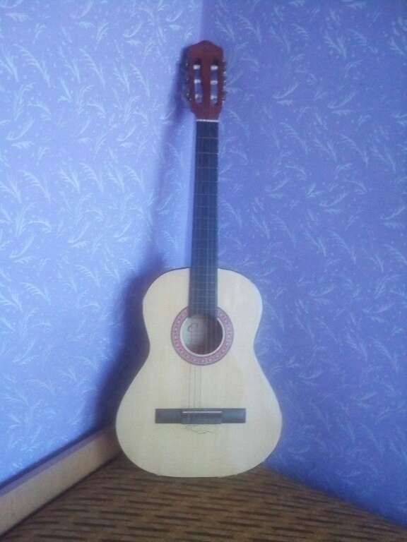 gitara Eleca dagin 3 Bielsko