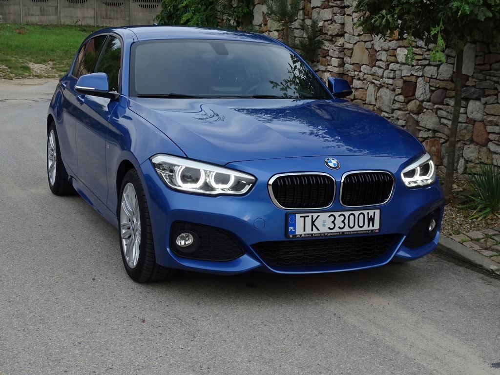 Купить BMW 2.0 150 л.с. дизель, М-пакет, легковой автомобиль, регистрация 2016 г.: отзывы, фото, характеристики в интерне-магазине Aredi.ru