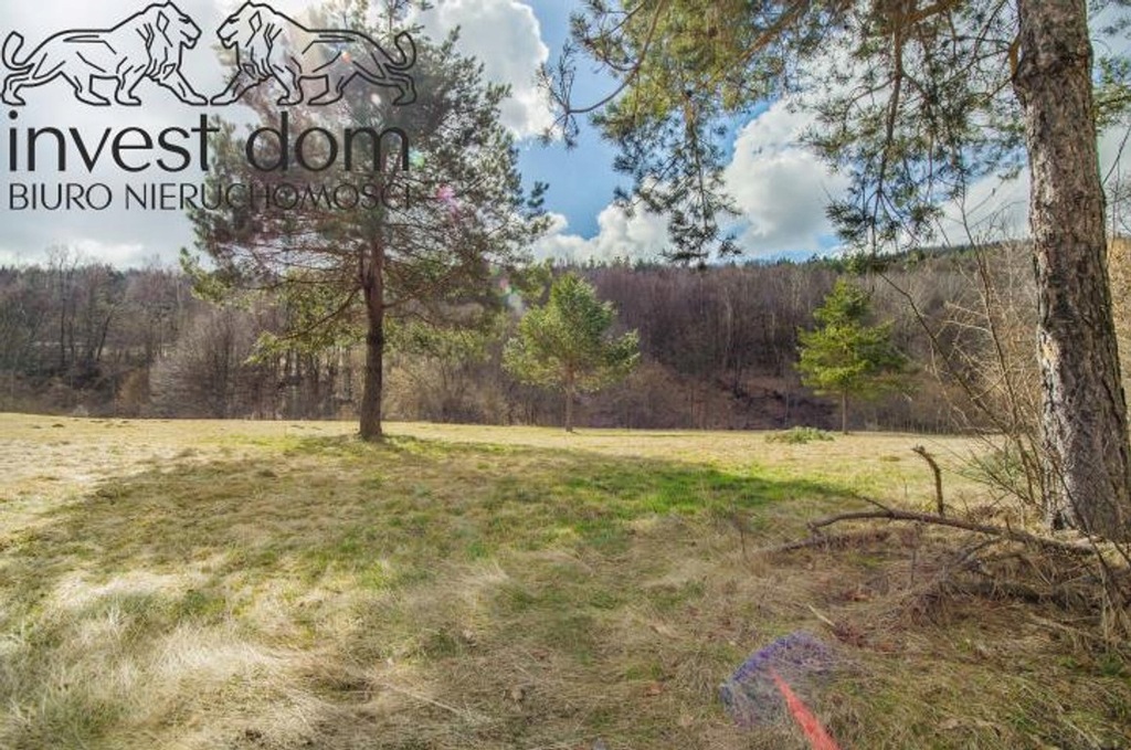 Działka, Małastów, Sękowa (gm.), 3400 m²
