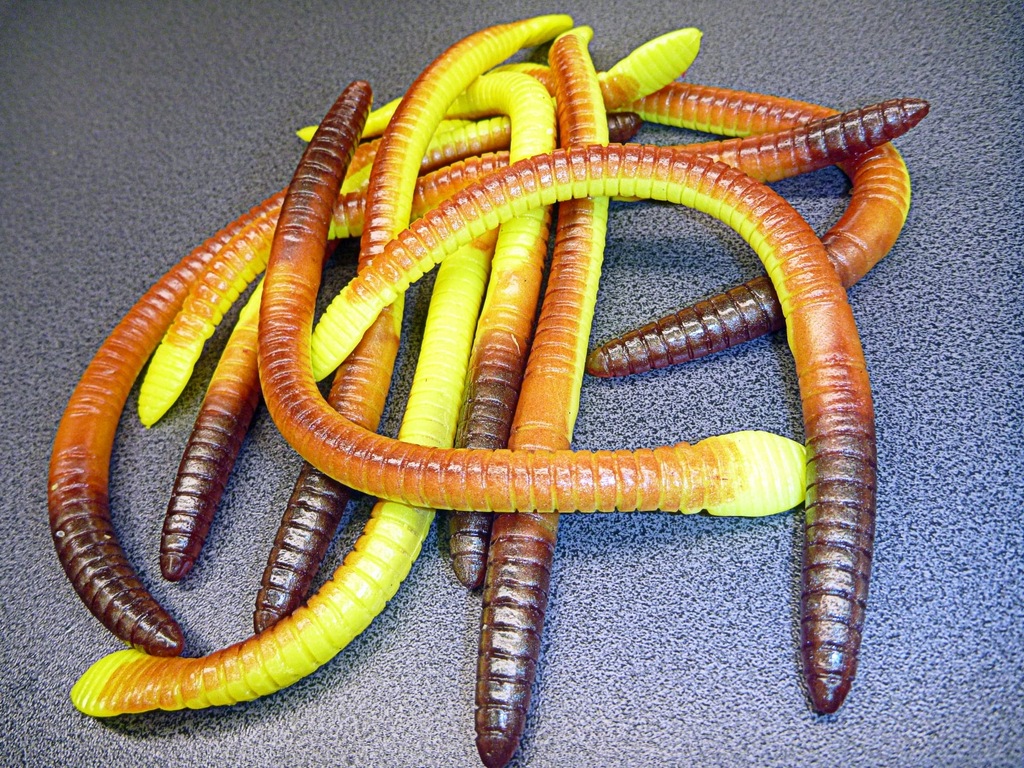 Guma Tomy's Bait Realistic ROSÓWKA FLUO 18CM - 12196667473 - oficjalne ...