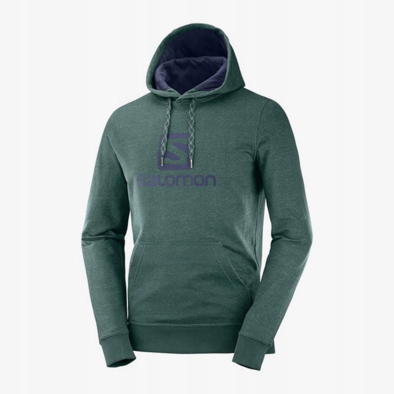 Bluza Salomon Logo Hoodie Green Gables r. L