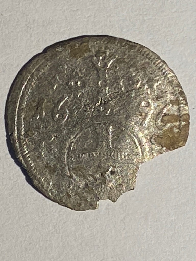 greszel Brzeg, Leopold I Habsburg, 1696 srebro(79)