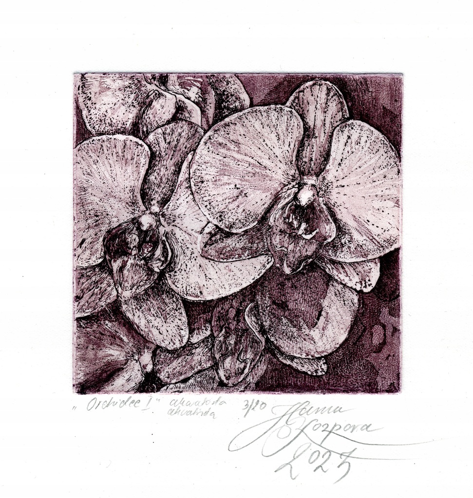 "Orchidee I" akwaforta, akwatinta, 17 x 14 cm