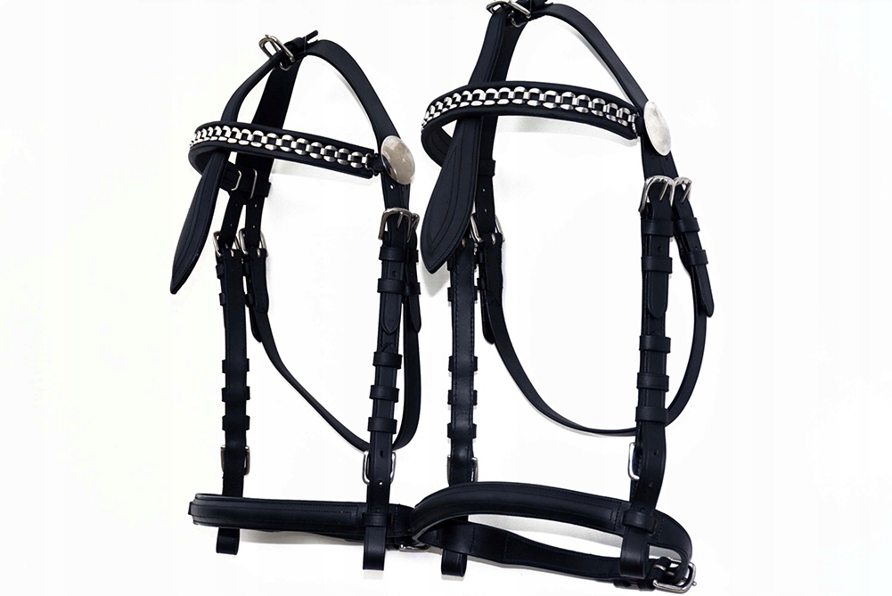 OGŁOWIE ZAPRZĘGOWE ROZ. X-FULL NA ZIMNOKRWISTEGO