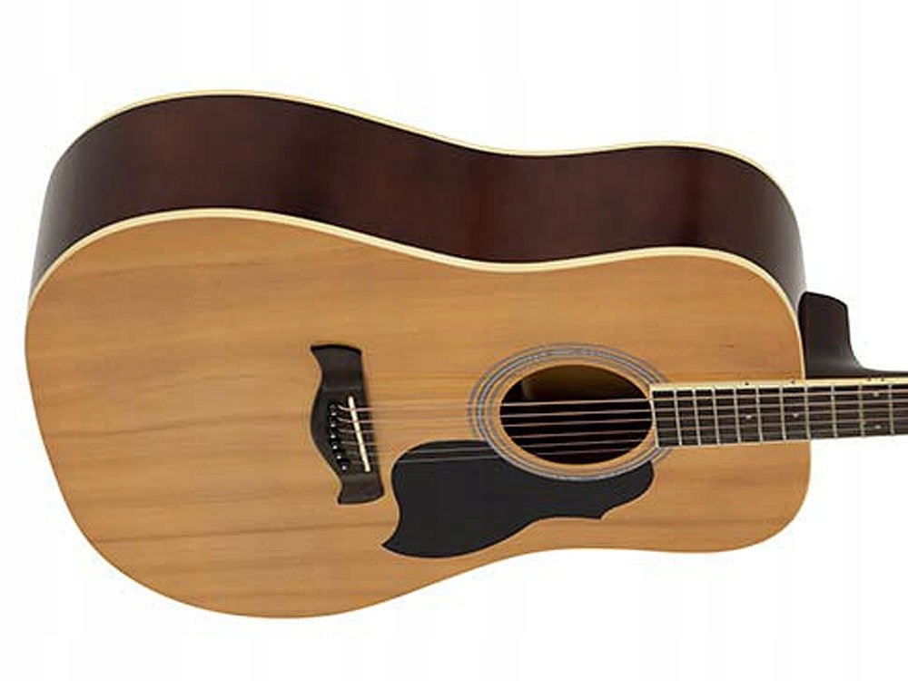 Gitara akustyczna RICHWOOD RD-12