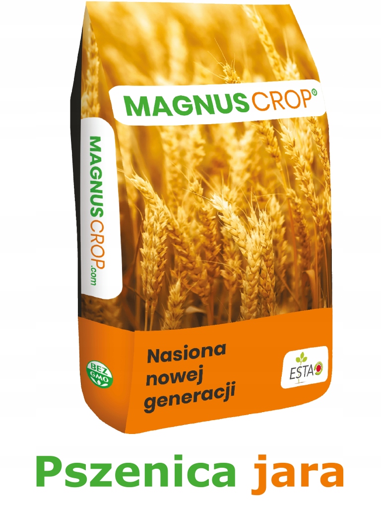 Pszenica Jara oścista Patricia kwalifikat 25 kg