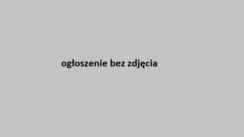 Do wynajęcia mieszkanie nowe Strzelin