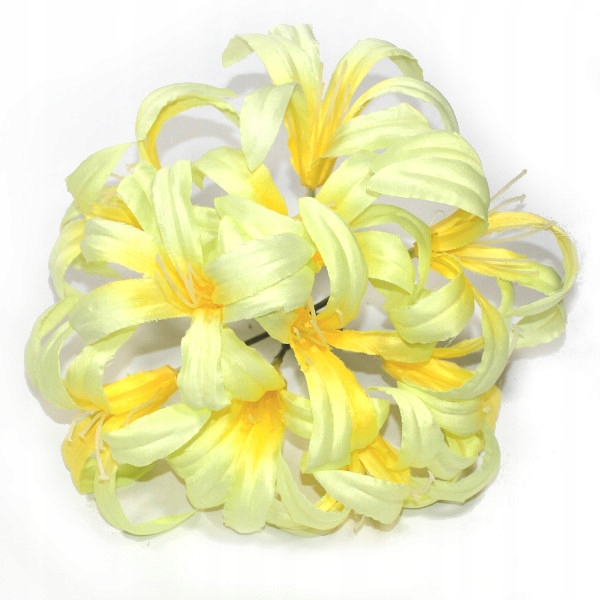 Kwiatuszki agapantus żółty gałązka 10 kwiat