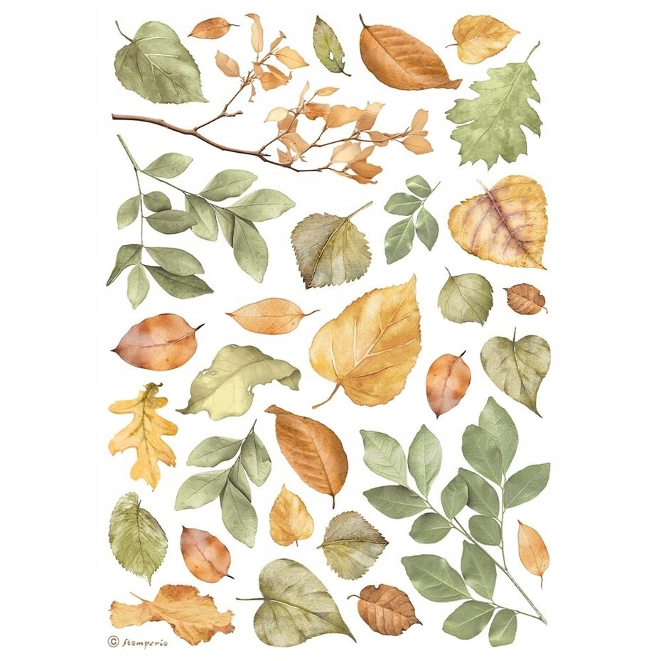 Stamperia Papier ryżowy A4 Leaves (DFSA4999)