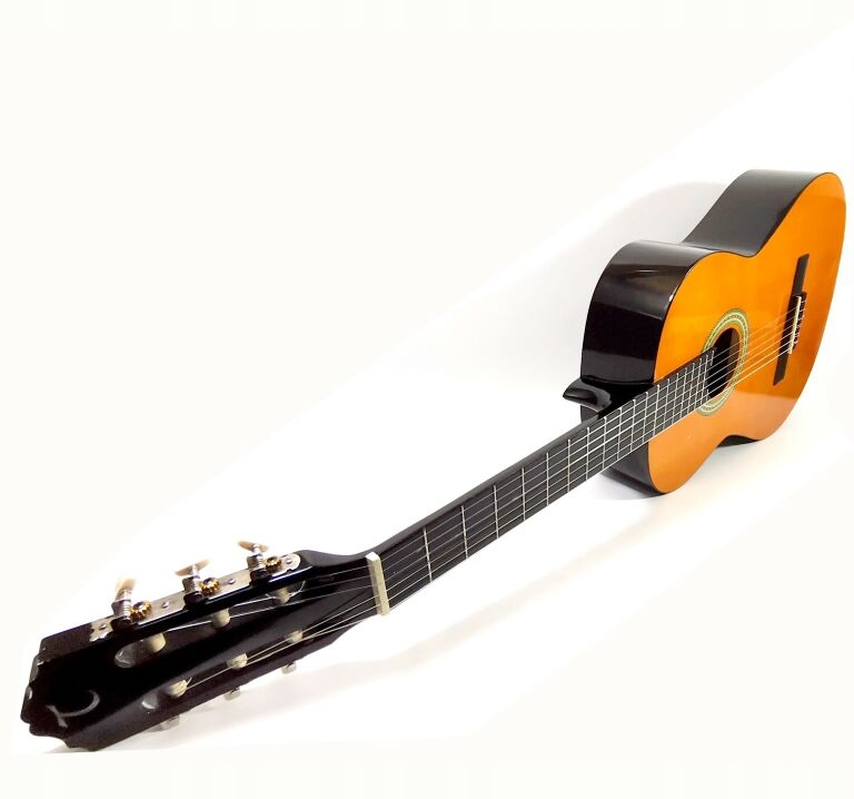 GITARA DISCOVERY BY TANGLEWOOD DBT44 + POKROWIEC