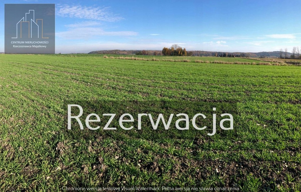 Działka, Wysocice, Gołcza (gm.), 17041 m²