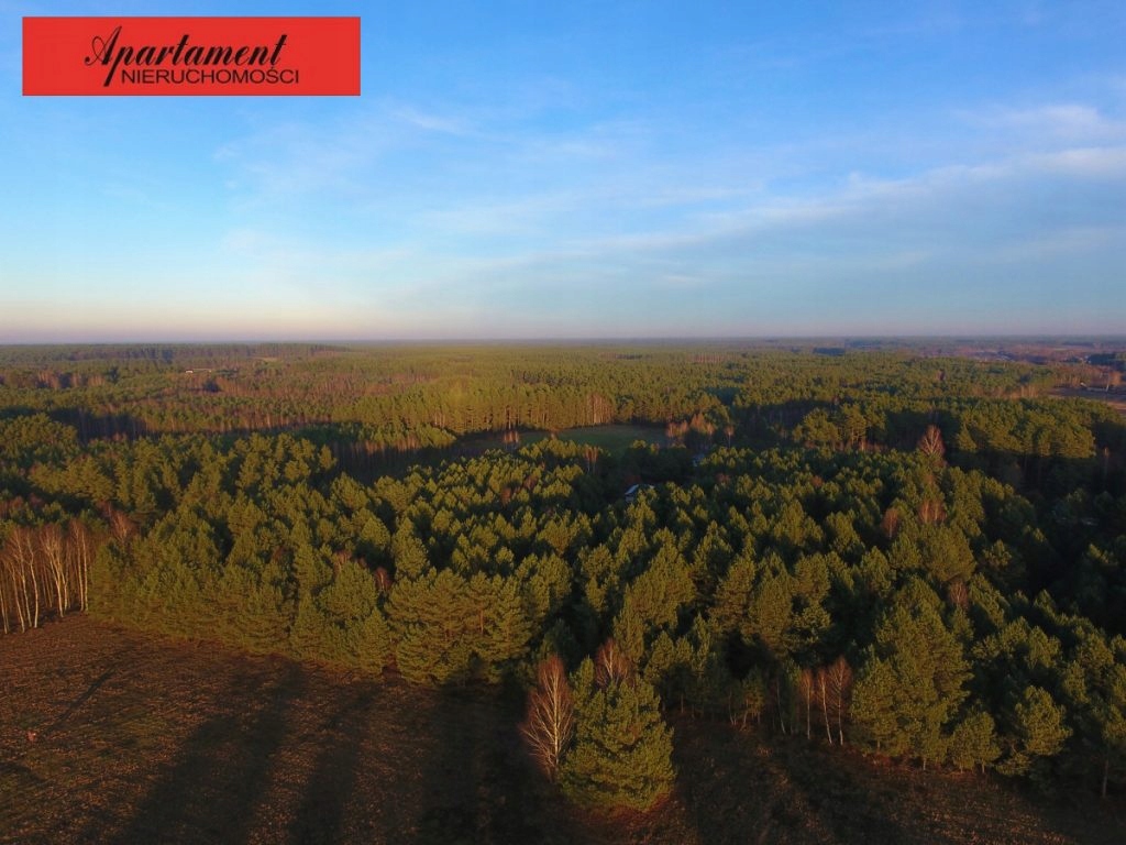 Działka, Łąski Piec, Śliwice (gm.), 3000 m²