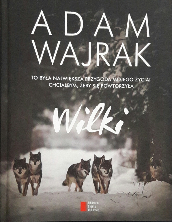 WILKI -ADAM WAJRAK -RYSUNEK WILKA + AUTOGRAF! Nowa