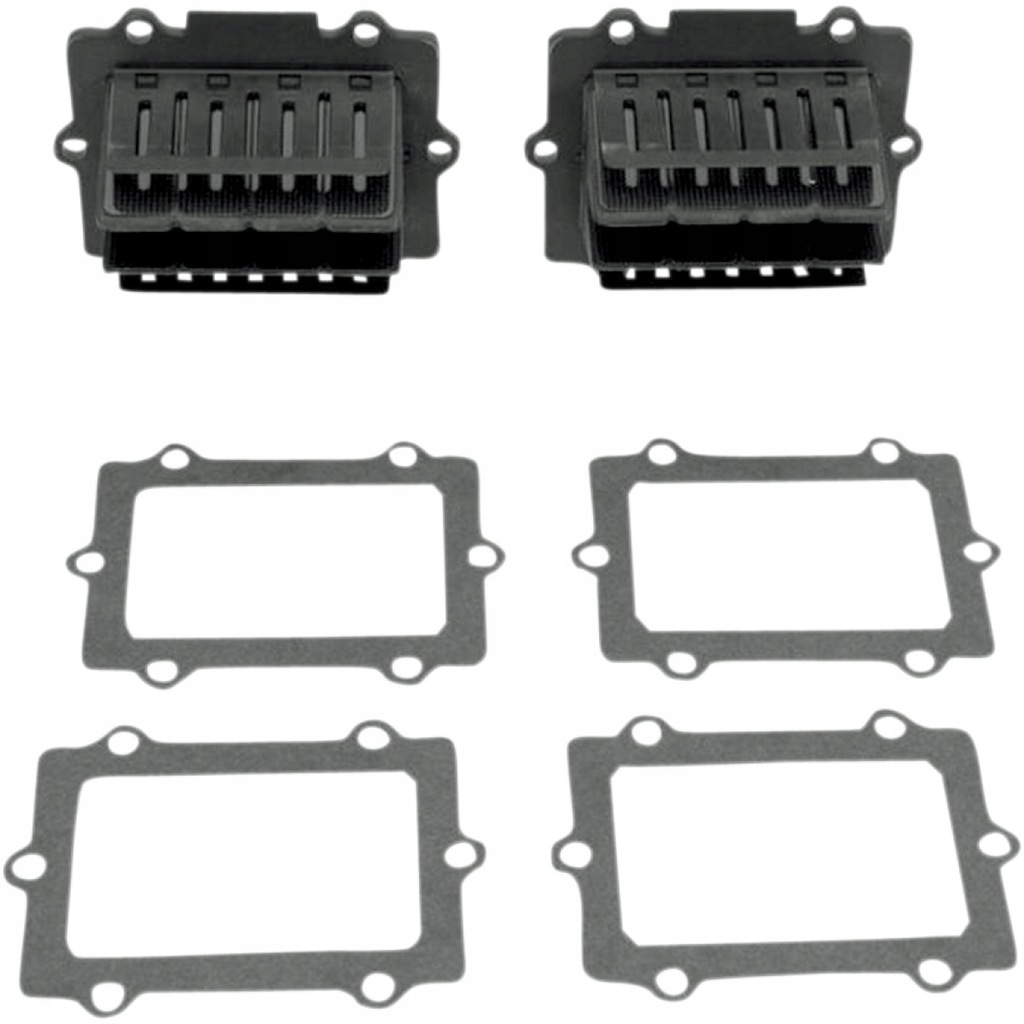 Membrana V-FORCE 3 Polaris EDGE/RMK/SKS 1997-2005