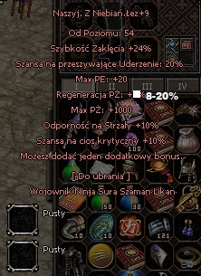 top nasior z lez+9 5b dt hp+kryt+str Polska metin2