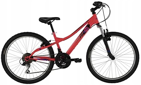Alpina Bike, rower dziecięcy Flip MTB 24 "