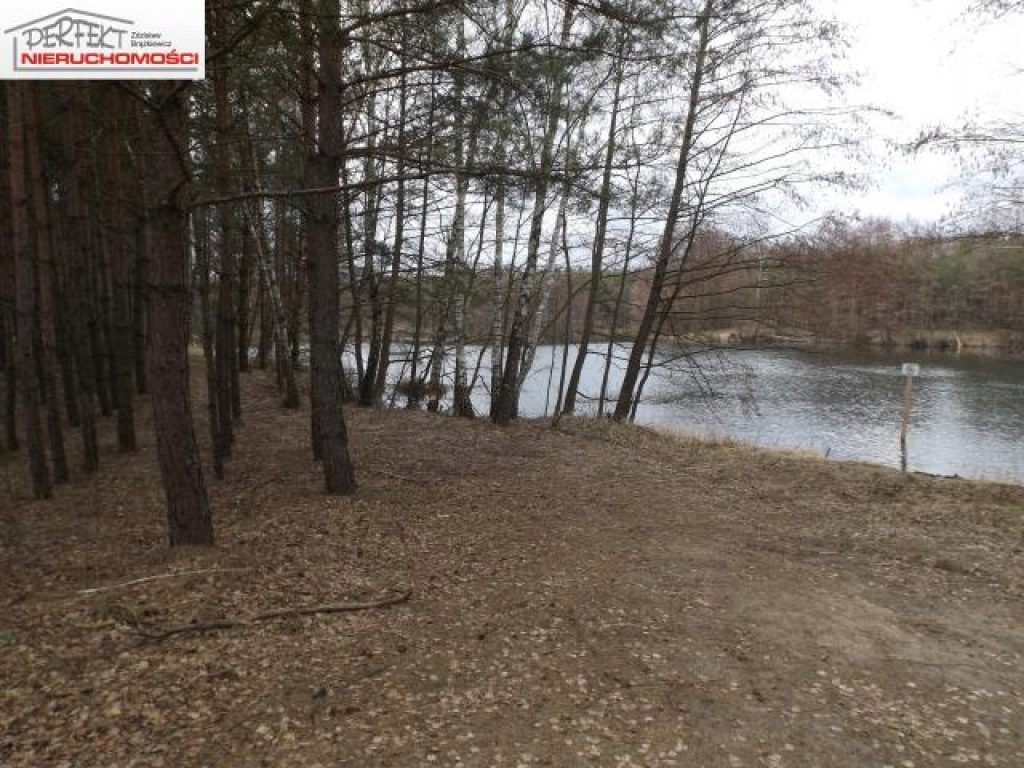 Działka, Wielki Głęboczek, Brzozie (gm.), 9500 m²