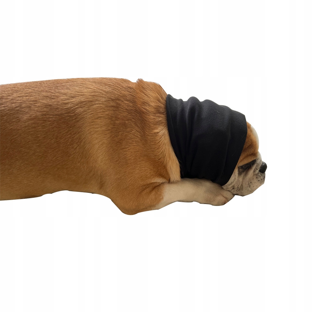 Nowe nauszniki z redukcją szumów dla zwierząt