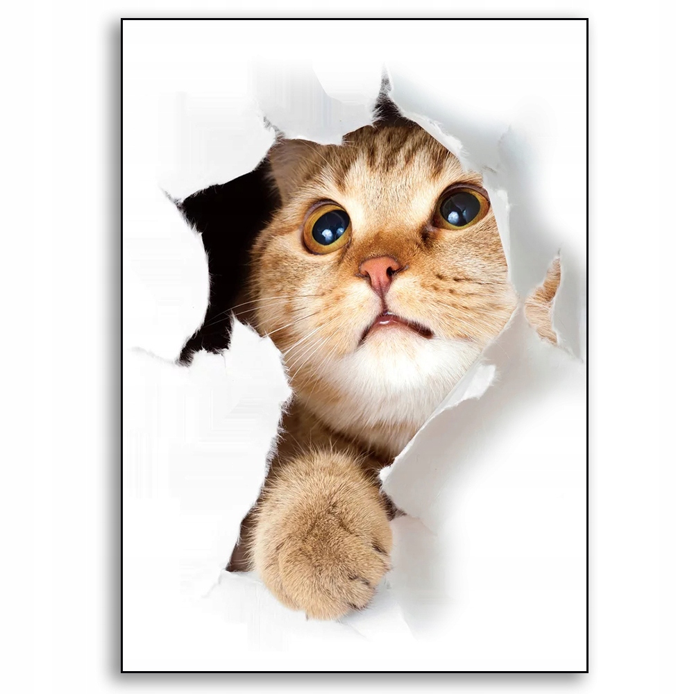 Fototapeta 3D kot kotki do kuchni łazienki rozm S 7490740588