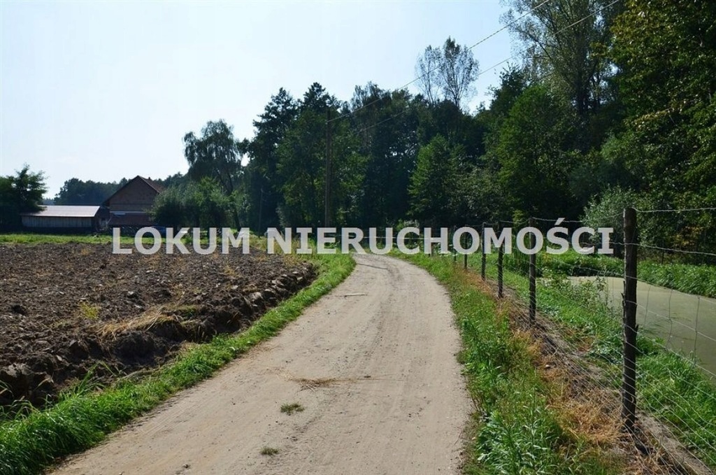 Działka Bagienica, dąbrowski, 2452,00 m²