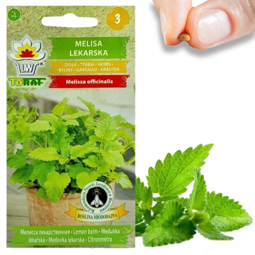 Z3019 MELISA LEKARSKA NASIONA DO SADZENIA MELISY ZIÓŁ LECZNICZE ROŚLINA MIO