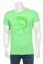 Męski T-shirt Diesel, S, zielony 108540879