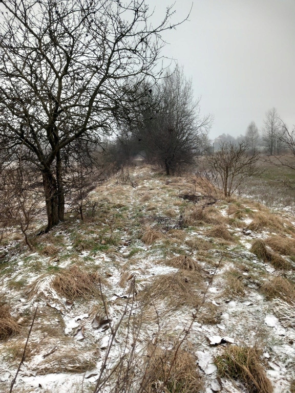 Działka, Stare Tarnowice, 1138 m²