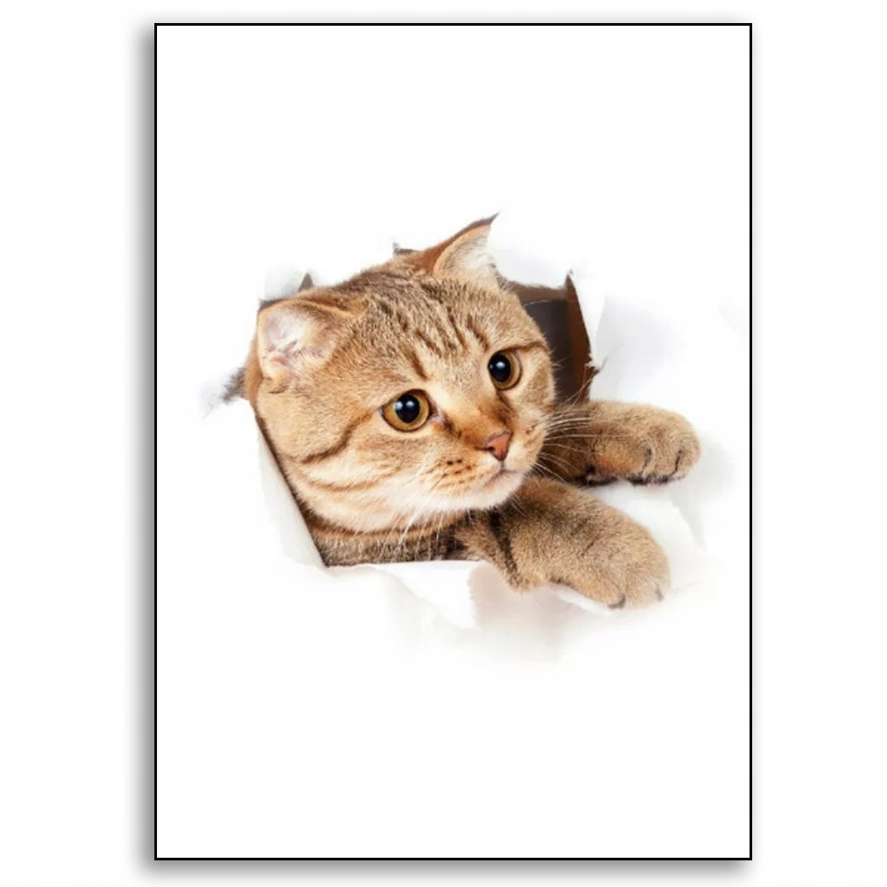 Fototapeta 3D kot kotki do kuchni łazienki rozm S 7495483555