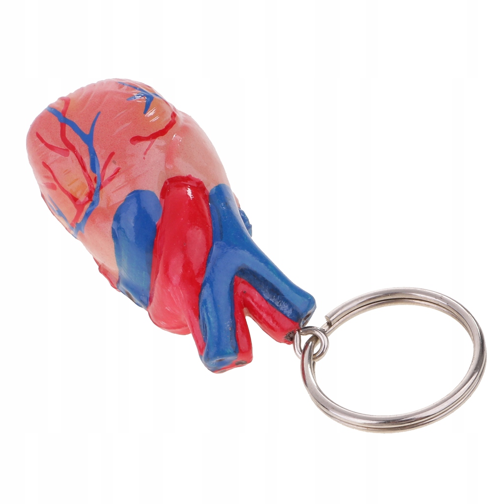 1 model pęku kluczy z ludzkim sercem Serca Mini