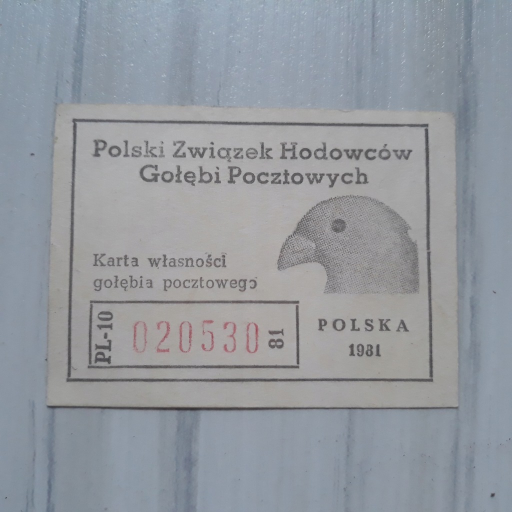 Karta własności gołębia pocztowego 1981 rok