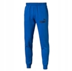 PUMA MĘSKIE SPODNIE ESS NO.1 SWEAT PANTS,FL tu S