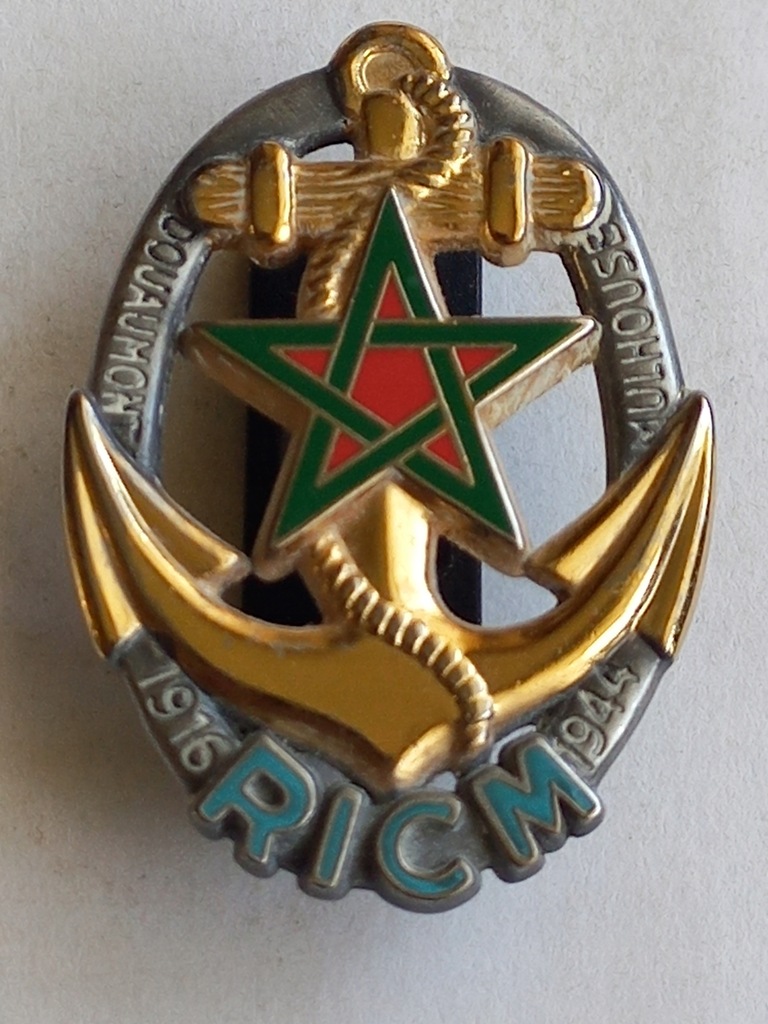RICM - odznaka - Francja