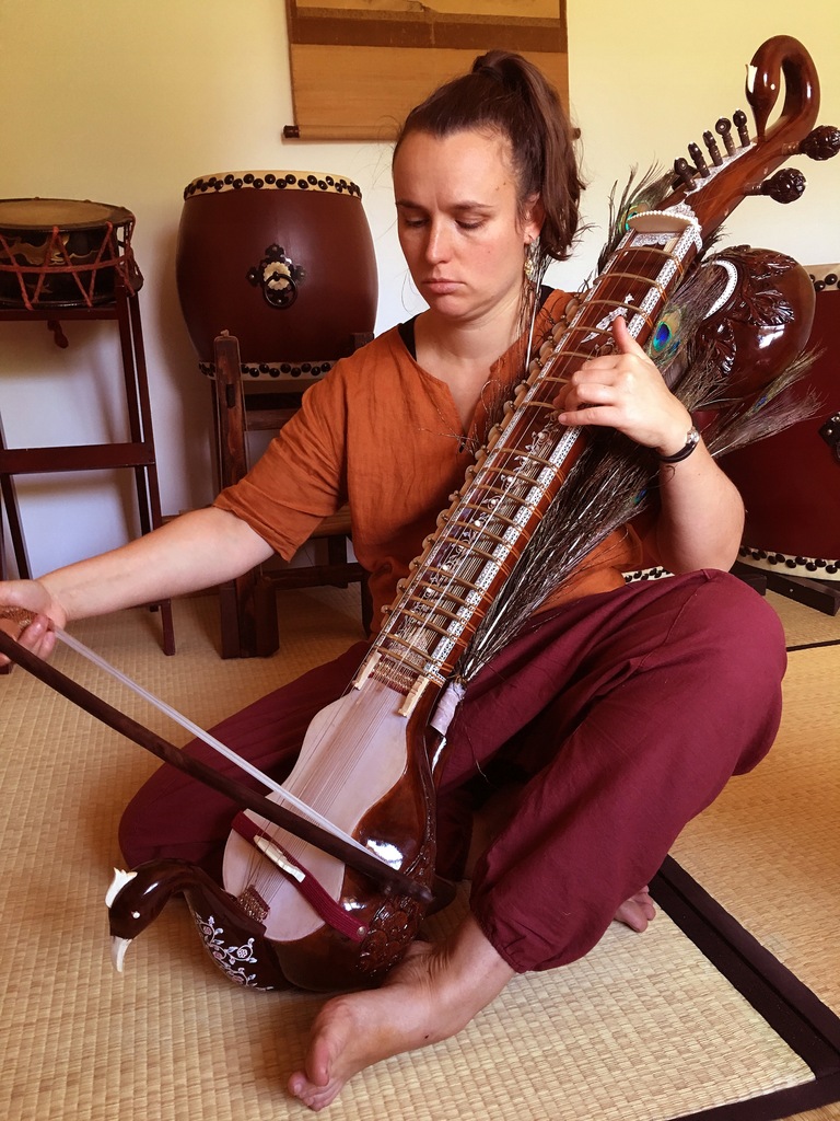 indyjski instrument TAUS