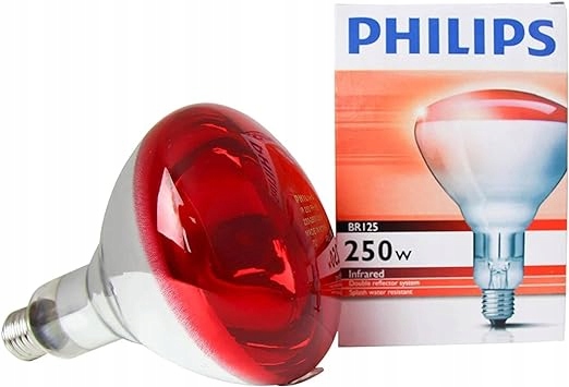 Żarówka XXL E27 Czerwona R125 250 W Philips na Podczerwień