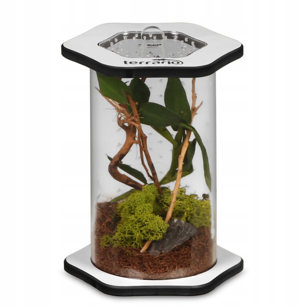 Купить Terrario Spiders Tube Tall100 - акриловый террариум: отзывы ...