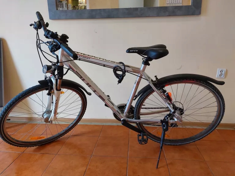 ROWER CROSSOWY BULLS WILDCROSS STREET 12862032398 oficjalne