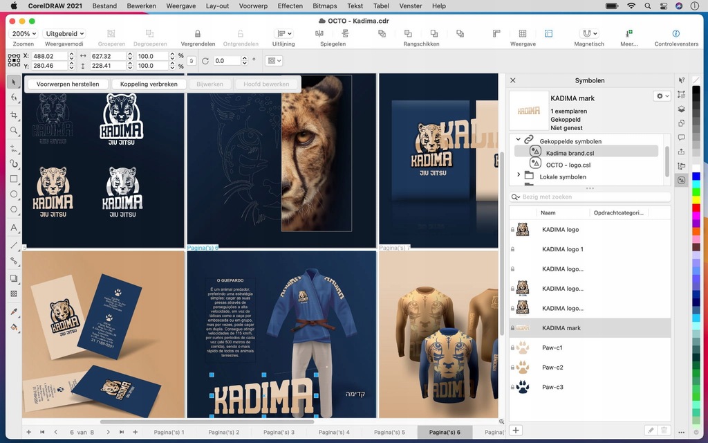 Corel DRAW Graphics Suite 2021 CZ/PL BOX